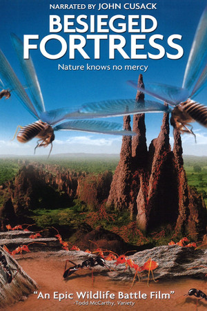 The Besieged Fortress