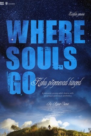Where Souls Go